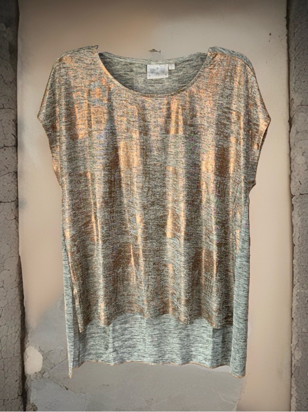 Dantelle Women's Metallic Bronze Short Sleeve Scoop Neck High Low Knit Top-L-EC
